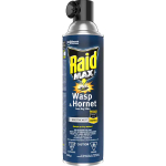 RAID Wasp and Hornet Killer 500g